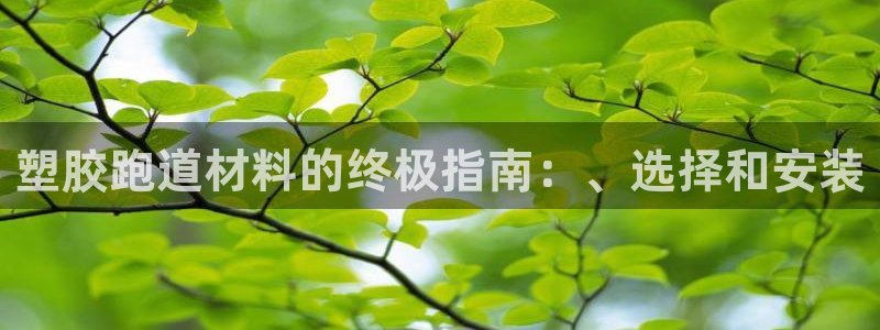 谈球吧论坛：塑胶跑道材料的终极指南：、选择和安装