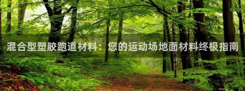 谈球吧app下载安装：混合型塑胶跑道材料：您的运动场地面材料终极指南