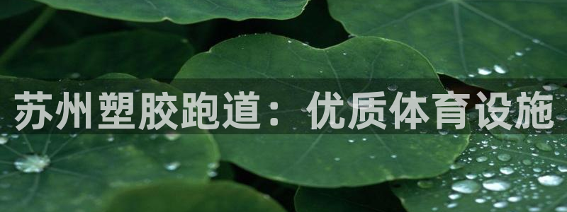 谈球吧平台正规吗：苏州塑胶跑道：优质体育设施