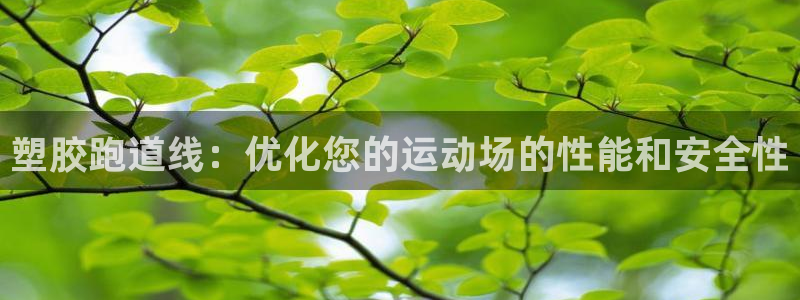 谈球吧在线：塑胶跑道线：优化您的运动场的性能和安全性