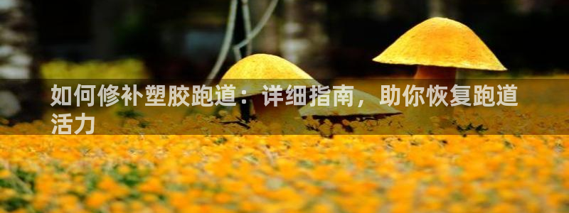 谈球吧的聊天软件下载：如何修补塑胶跑道：详细指南，助你恢复跑道
活力
