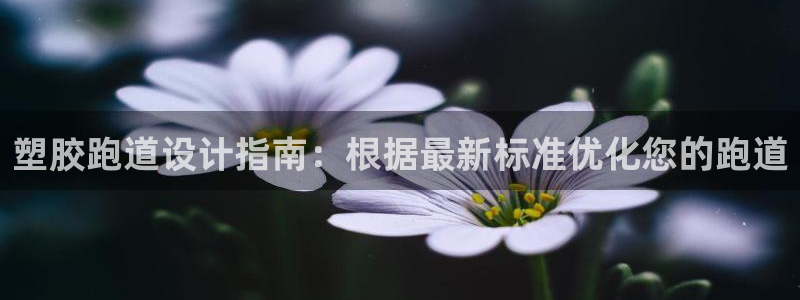 谈球吧app下载：塑胶跑道设计指南：根据最新标准优化您的跑道