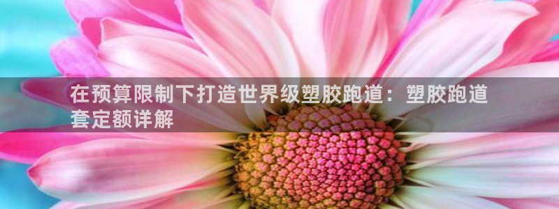 谈球吧是正规平台吗安全吗：在预算限制下打造世界级塑胶跑道：塑胶跑道
套定额详解