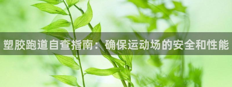 谈球吧官网app下载：塑胶跑道自查指南：确保运动场的安全和性能