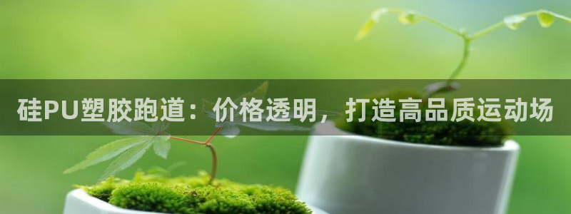谈球吧平台：硅PU塑胶跑道：价格透明，打造高品质运动场