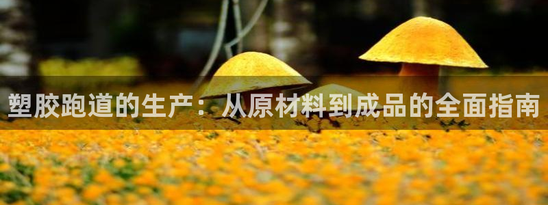 谈球吧最新APP下载：塑胶跑道的生产：从原材料到成品的全面指南