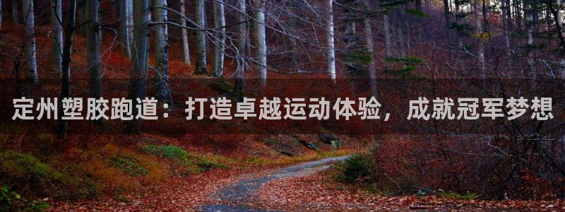 谈球吧app在哪里下载：定州塑胶跑道：打造卓越运动体