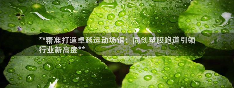 谈球吧网址：**精准打造卓越运动场馆：同创塑胶跑道引领
行业新高度**