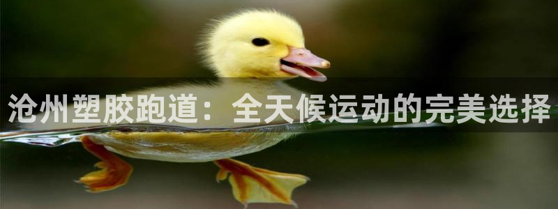 谈球吧官网在线入口手机版下载安装：沧州塑胶跑道：全天候运动的完美选择