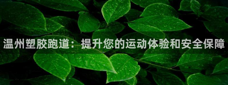 谈球吧是正规平台吗：温州塑胶跑道：提升您的运动体验和