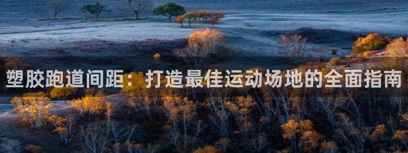 谈球吧体育app登陆：塑胶跑道间距：打造最佳运动场地的全面指南