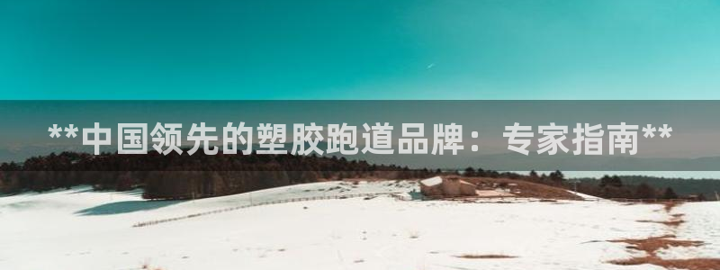 谈球吧电子app：**中国领先的塑胶跑道品牌：专家指南**
