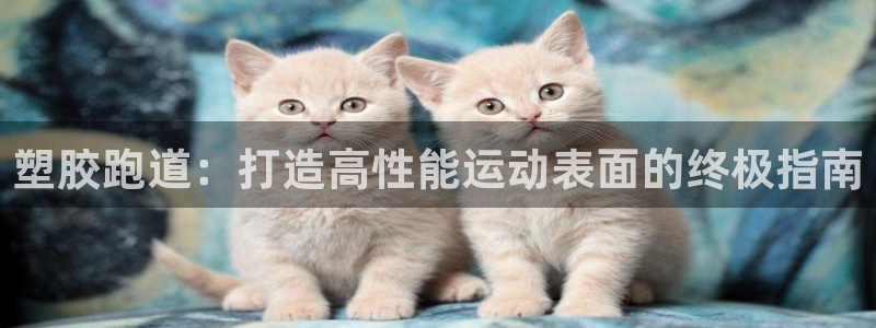 谈球吧网址：塑胶跑道：打造高性能运动表面的终极指南
