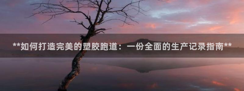 谈球吧官网在线入口免费观看视频网站：**如何打造完美的塑胶跑道：一份全面的生产记录指南**
