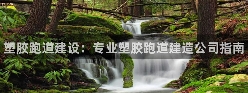 谈球吧言网入口：塑胶跑道建设：专业塑胶跑道建造公司指南