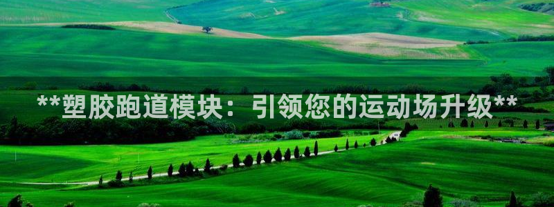 谈球吧官网在线入口免费观看视频：**塑胶跑道模块：引领您的运动场升级**