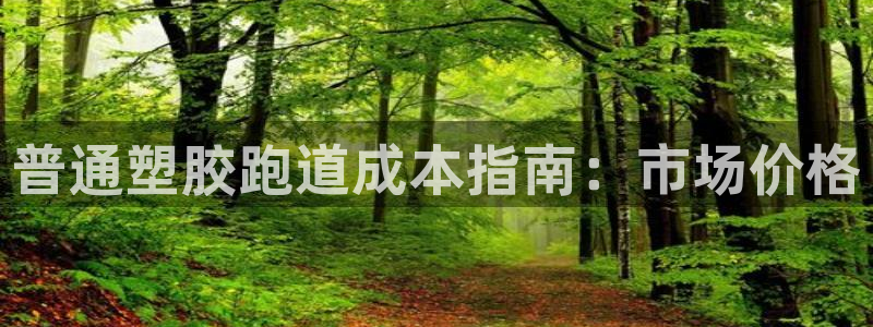 谈球吧不出款：普通塑胶跑道成本指南：市场价格