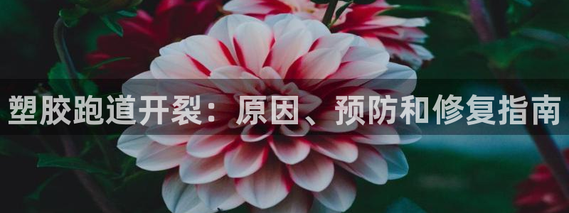 谈球吧是正规平台吗知乎：塑胶跑道开裂：原因、预防和修复指南