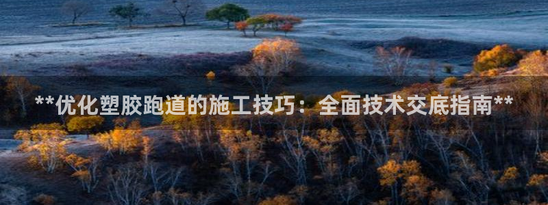 谈球吧首充金额截图：**优化塑胶跑道的施工技巧：全面技术交底指南**