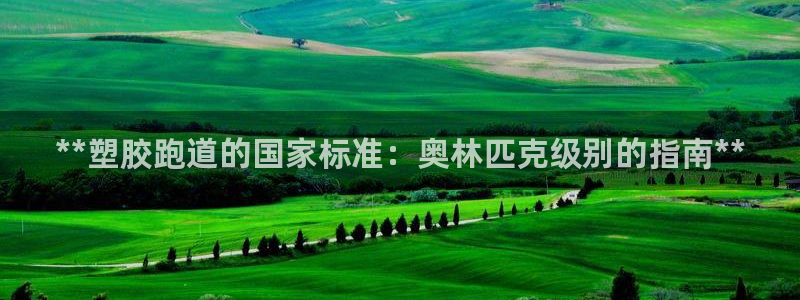 谈球吧是黑台子吗还是白台子好：**塑胶跑道的国家标准：奥林匹克级别的指南**