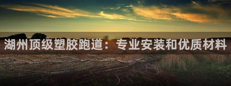谈球吧体育综合台：湖州顶级塑胶跑道：专业安装和优质材料
