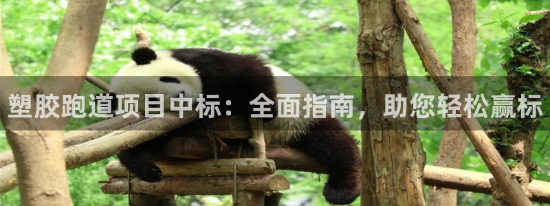 谈球吧官网在线入口手机版：塑胶跑道项目中标：全面指南，助您轻松赢标