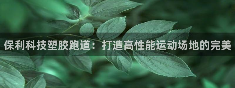 谈球吧体育app登陆不上：保利科技塑胶跑道：打造高性