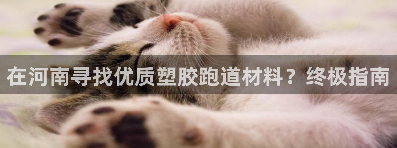 谈球吧官网入口：在河南寻找优质塑胶跑道材料？终极指南
