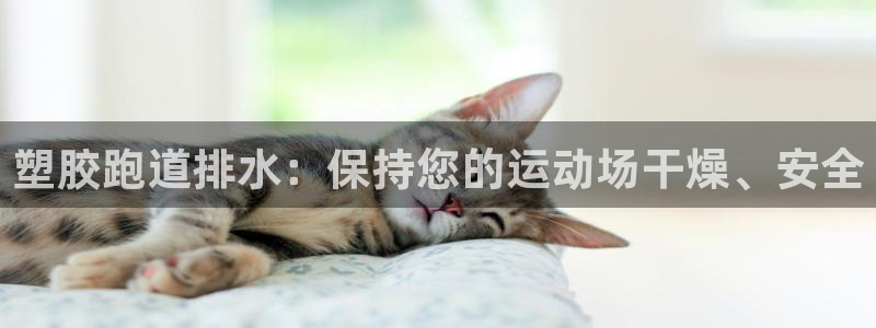 谈球吧怎么充值：塑胶跑道排水：保持您的运动场干燥、安全