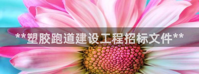 谈球吧娱乐app下载官网苹果手机：**塑胶跑道建设工程招标文件**
