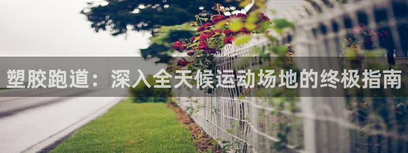 谈球吧网页版在线入口：塑胶跑道：深入全天候运动场地的终极指南