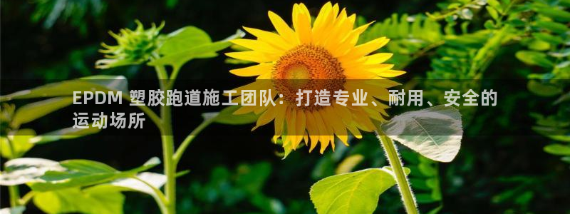 谈球吧体育app下载中心官方网站：EPDM 塑胶跑道施工团队：打造专业、耐用、安全的
运动场所