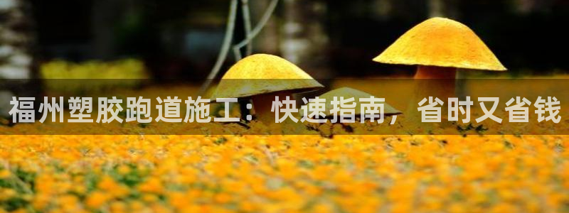 谈球吧的聊天软件叫什么：福州塑胶跑道施工：快速指南，省时又省钱