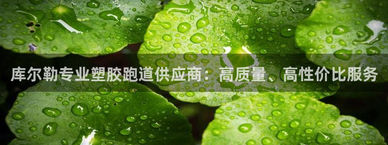 谈球吧的聊天软件是什么