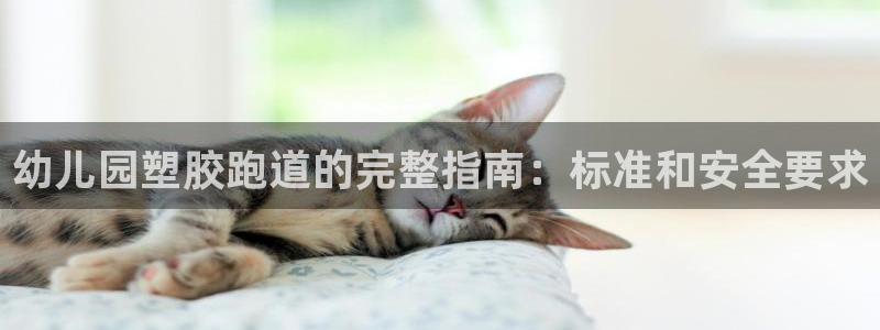 谈球吧登录：幼儿园塑胶跑道的完整指南：标准和安全要求