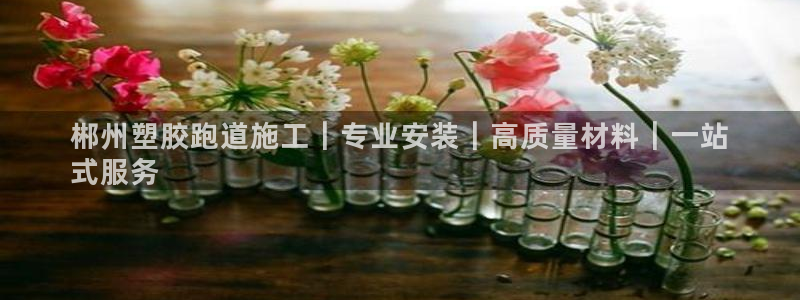 谈球吧体育app下载官网苹果版