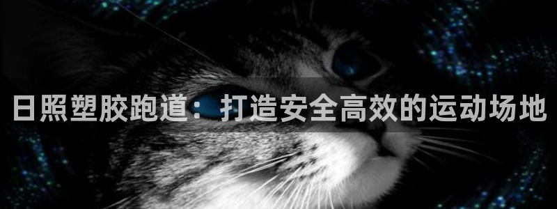 谈球吧app赛事分析在哪里看：日照塑胶跑道：打造安全