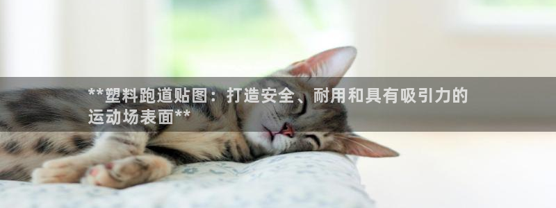 谈球吧体育app下载官网：**塑料跑道贴图：打造安全、耐用和具有吸引力的
运动场表面**