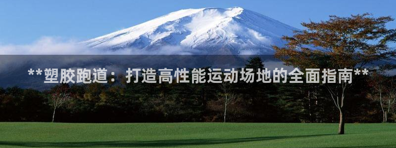 谈球吧平台app下载网址：**塑胶跑道：打造高性能运动场地的全面指南**