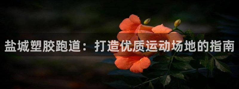 谈球吧全站app下载：盐城塑胶跑道：打造优质运动场地的指南