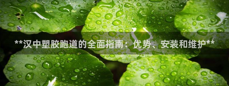 谈球吧全站app下载手机版：**汉中塑胶跑道的全面指南：优势、安装和维护**