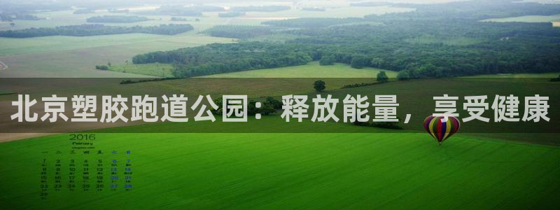 谈球吧怎么样?：北京塑胶跑道公园：释放能量，享受健康