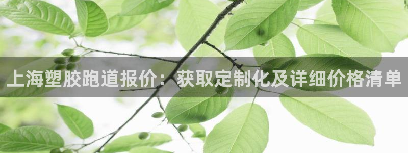 谈球吧平台正规吗可信吗安全吗：上海塑胶跑道报价：获取定制化及详细价格清单
