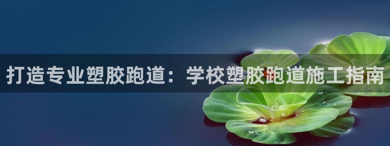 谈球吧账号有人收吗：打造专业塑胶跑道：学校塑胶跑道施工指南