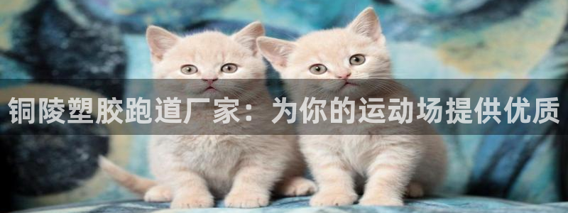 谈球吧咋样：铜陵塑胶跑道厂家：为你的运动场提供优质