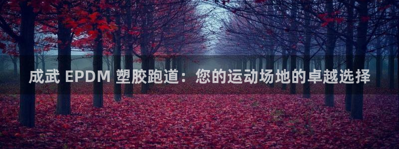 谈球吧是黑台子吗：成武 EPDM 塑胶跑道：您的运动