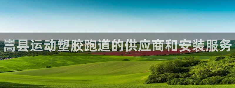 谈球吧体育赛事入口：嵩县运动塑胶跑道的供应商和安装服务