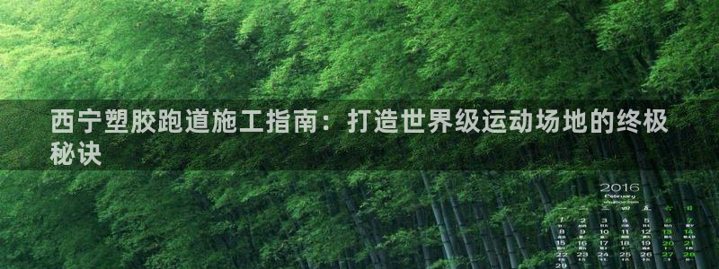 谈球吧网页版：西宁塑胶跑道施工指南：打造世界级运动场