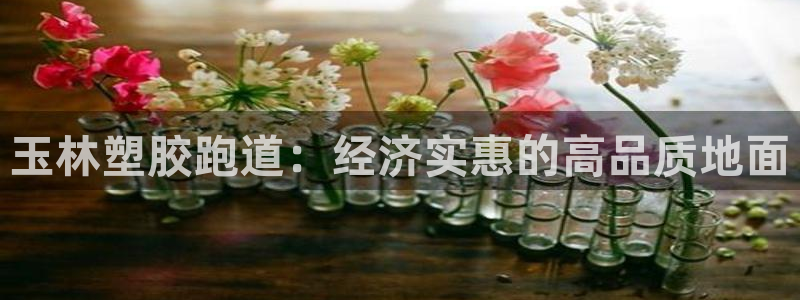 谈球吧网页版：玉林塑胶跑道：经济实惠的高品质地面