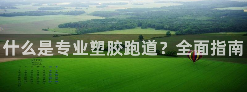 谈球吧体育app下载官网苹果手机：什么是专业塑胶跑道？全面指南